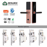 Security Classical Smart Electric Lockset RFID Card Biometric Finger print Digital Hotel Door Locks