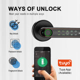 N198 Zinc Alloy Fingerprint Smart Key Electronics Bedroom Home Tuya Handle Door Lock