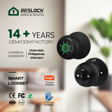 NK01 Pro New Release Bedroom Tuya App Biometric Intelligent Fingerprint Password Remote Safety Security Smart Knobs Lock Door Lock