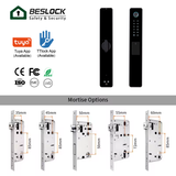 High Security Cylinder Smart Fingerprint Bedroom Electronic Digital Door Lock