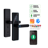 LPL008 Hotsale High Security Quality Digital New Password Fingerprint Smart Panel Handle Door Lock With Wifi Tuya App Ttlock
