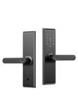 LPL020 Smart Panel Door Lock Fingerprint Password Card TTLock Bluetooth Aluminum Alloy Handle Lock