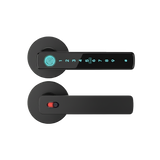 N199 Smart Door Lock Fingerprint Password Card Key Tuya Bluetooth Lithium Battery Aluminum Alloy