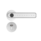 N290 Smart Hot Sale Security Fingerprint Key Bedroom Hotel Wood Handle Lever Mortise Door Lock