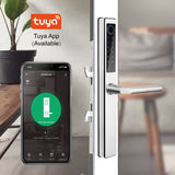 NSH1 Digital Intelligent Biometic Safety Password Fingerprint Home Office Glass Handle Lever Door Lock With TTlock Tuya