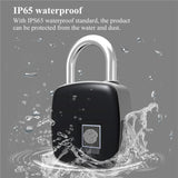 NPF1 Smart Global Hot-selling New Style Antique Fingerprint Portable Waterproof Padlock Door Lock